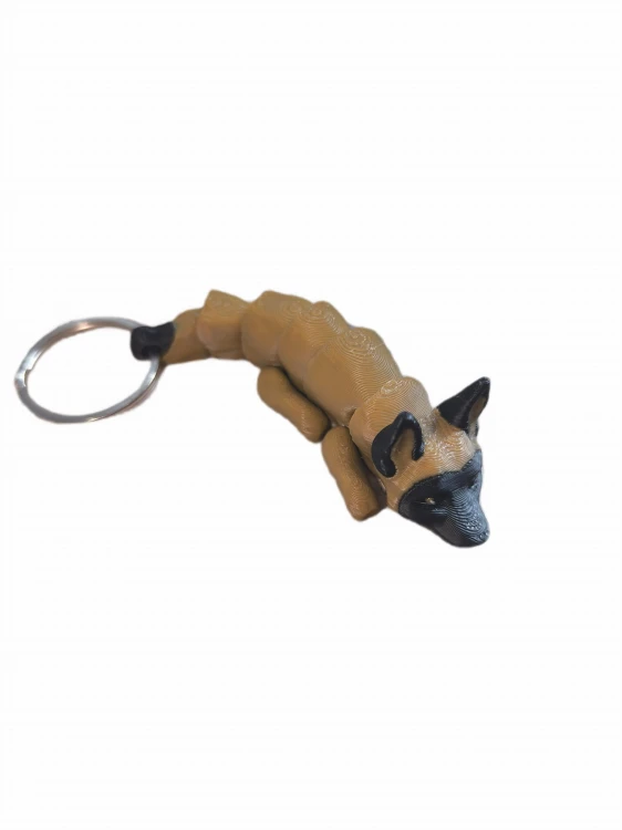 IMG_20250406_170933-photoaidcom--photoaid-remove-background.jpg