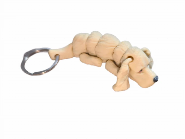 IMG_20250406_181900-photoaidcom--photoaid-remove-background.jpg