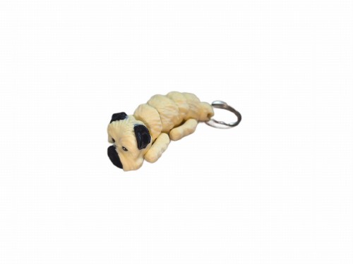 IMG_20250407_190637-photoaidcom--photoaid-remove-background.jpg